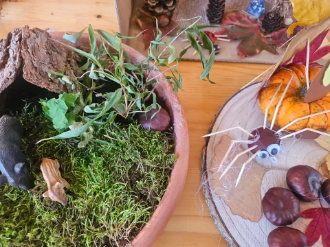 Kreative Arbeit mit Moos, Kastanien und einer gebastelten Spinne
