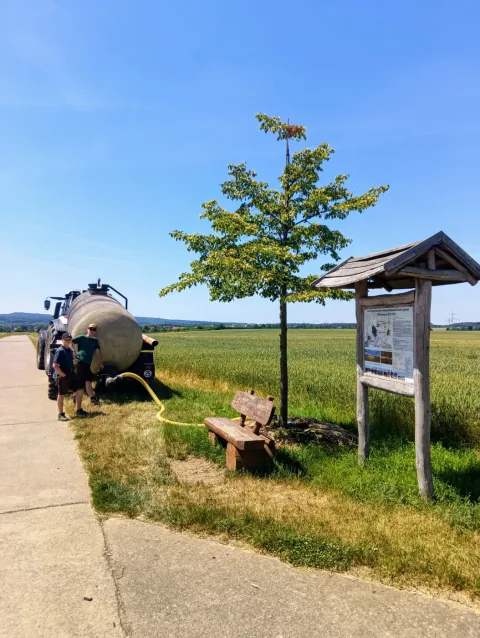 Bewässerung der Linde am Lindentor an der Plattenstraße zwischen Legefeld und Possendorf/Vollersroda